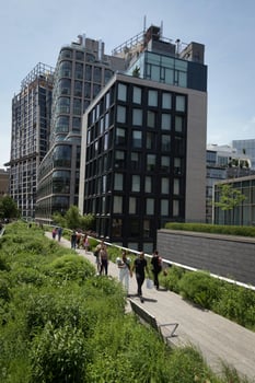 High Line, New York City - exploring the future of wellness in Urban Spaces
