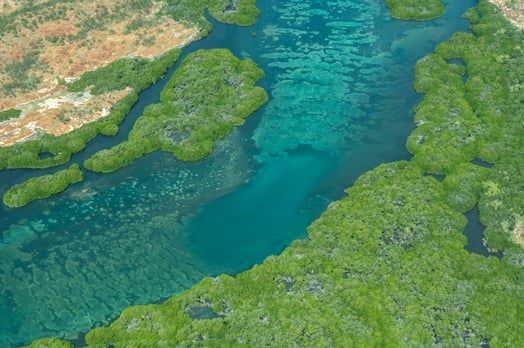 Designing with Country and working with First Nations' communities on architecture and landscape design in Australia