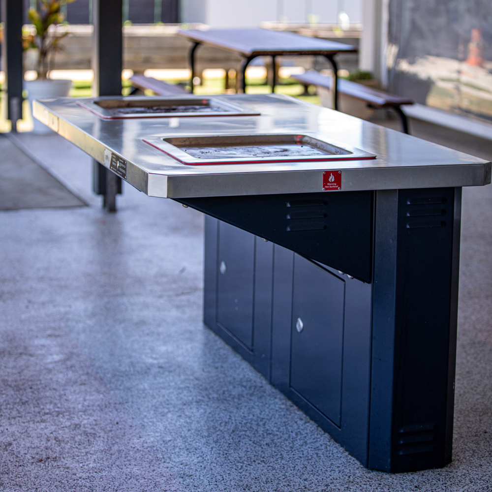 PI-Frontier-BBQ-002