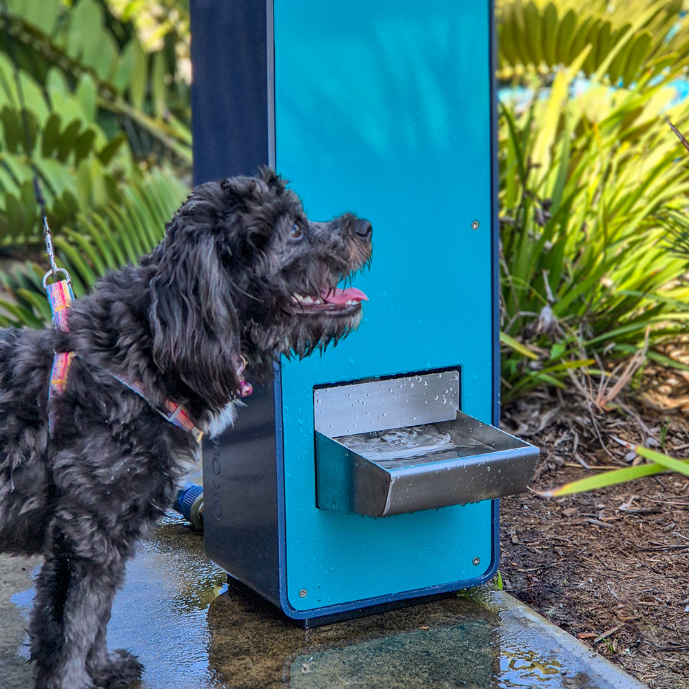 PI-Akuna-Drinking-Fountain-004