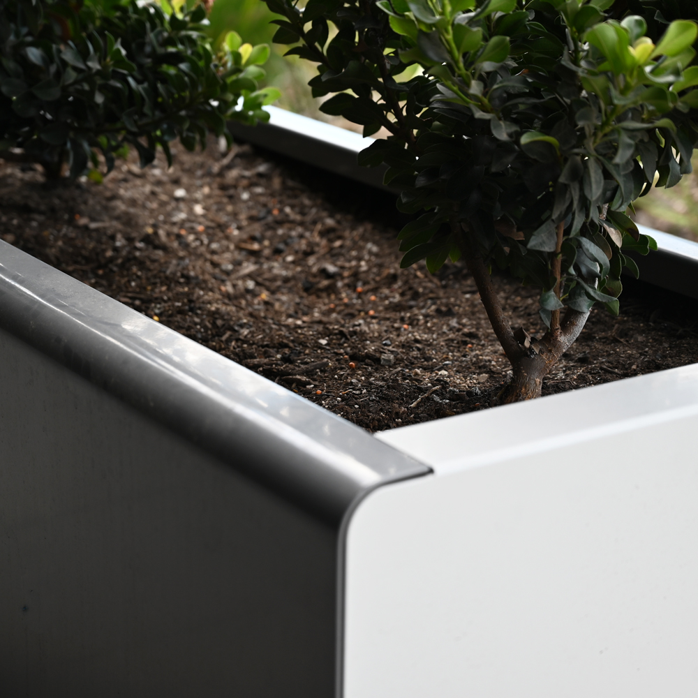 PI-GreenCell-001