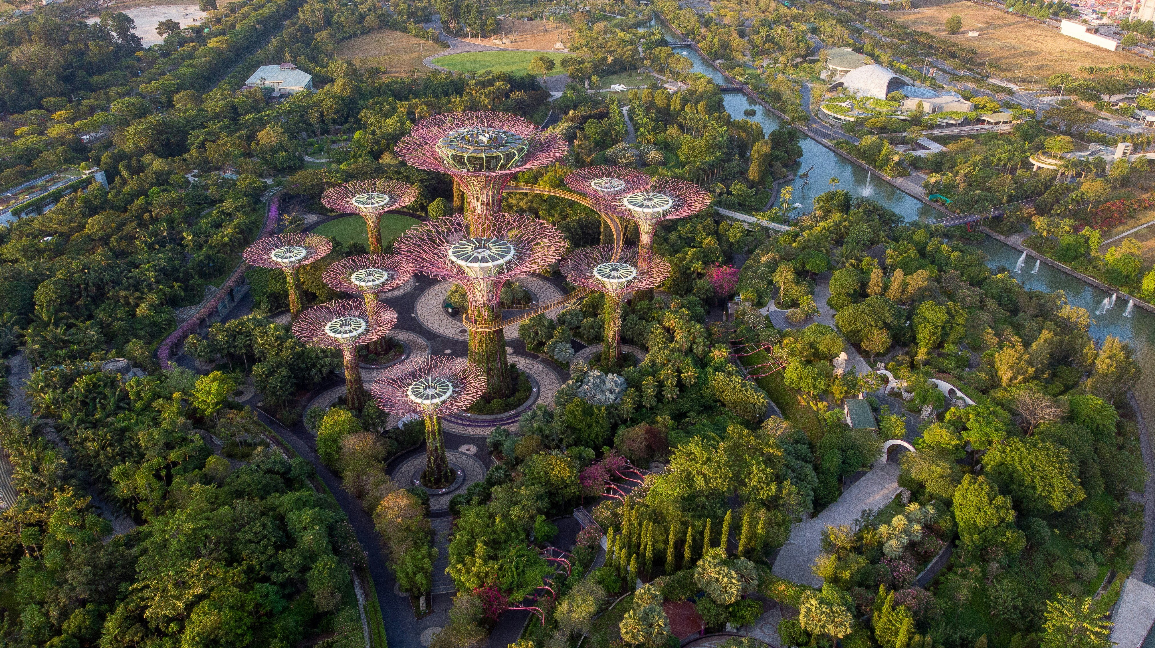 Gardens by the Bay: A Global Benchmark in Park Design – Insights for Australia